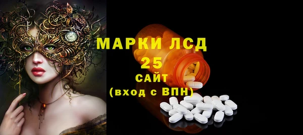 ПСИЛОЦИБИНОВЫЕ ГРИБЫ Алексин
