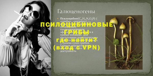 ПСИЛОЦИБИНОВЫЕ ГРИБЫ Алексин