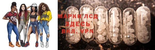 ПСИЛОЦИБИНОВЫЕ ГРИБЫ Алексин